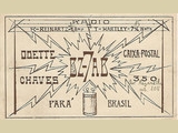 Brazil - Odette Chaves FLARC